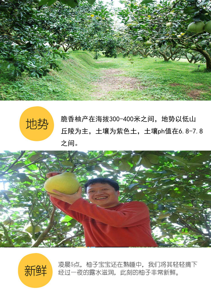 1506246538657037958.jpg 07 拷贝.jpg