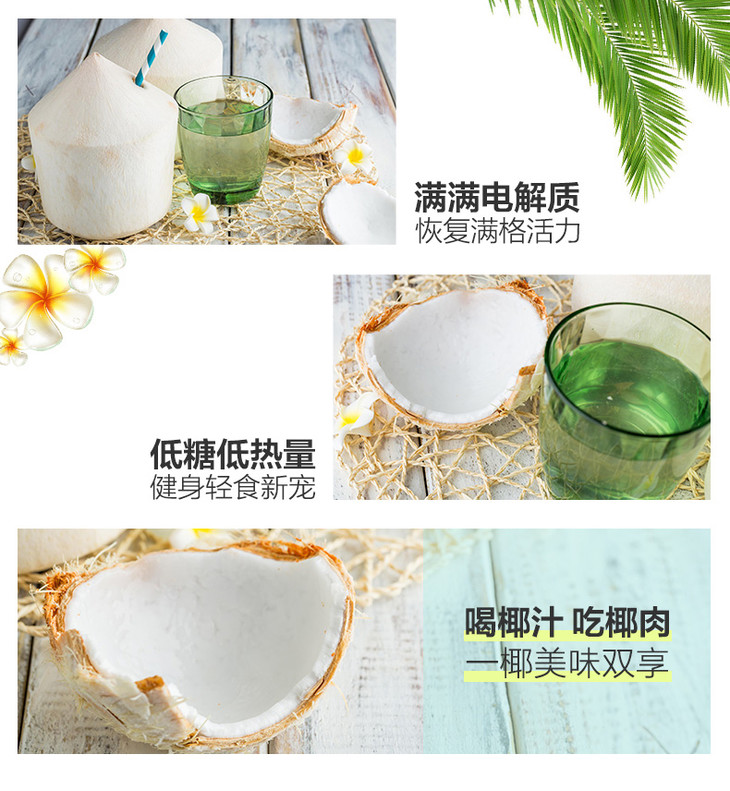 香椰5.jpg