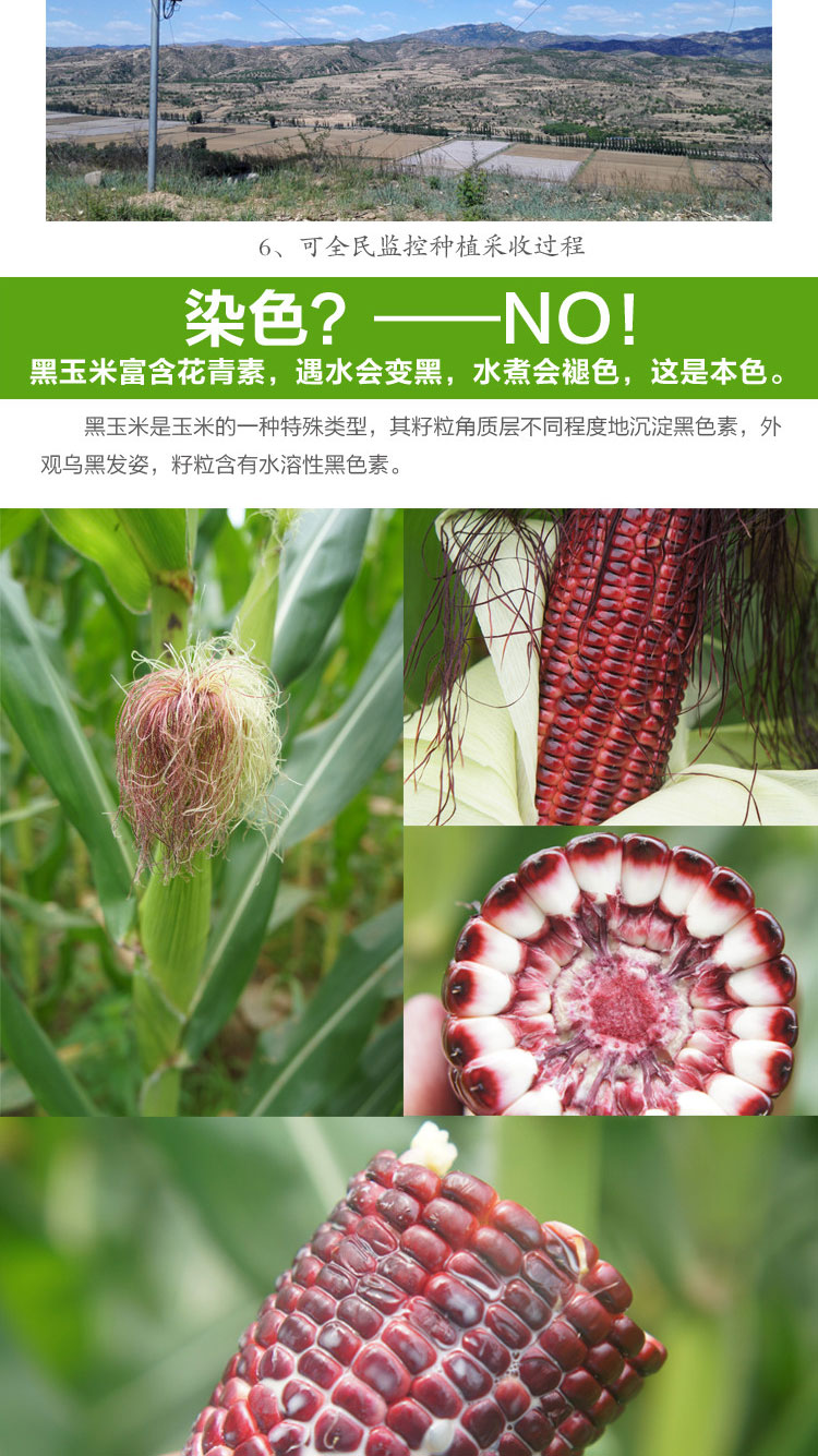 详情页_副本_07.jpg