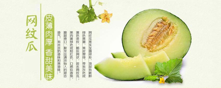 网纹瓜.jpg