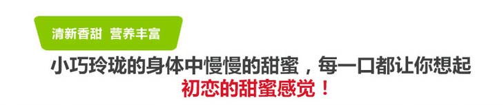 泰1 拷贝.jpg
