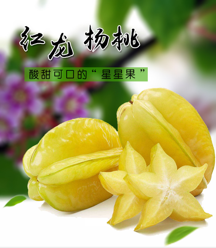红龙0.jpg