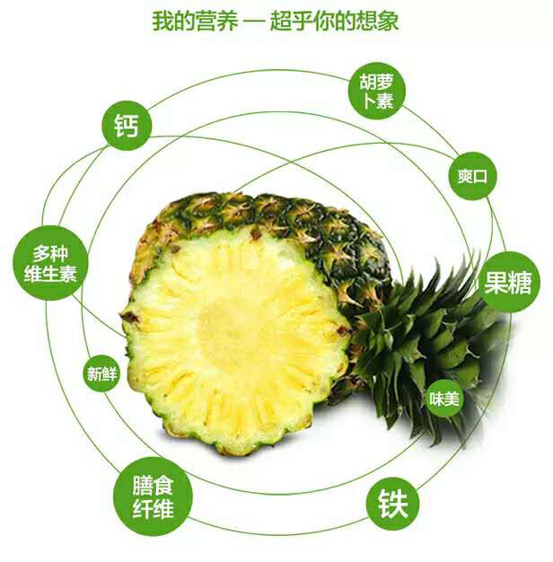 凤梨3.jpg