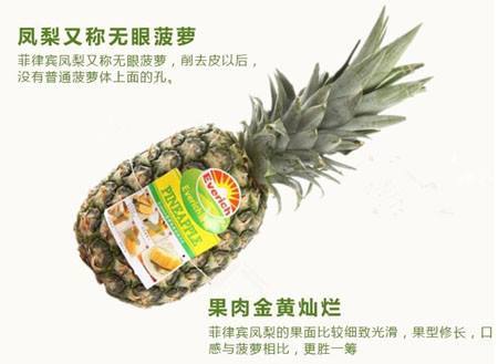 凤梨2.jpg