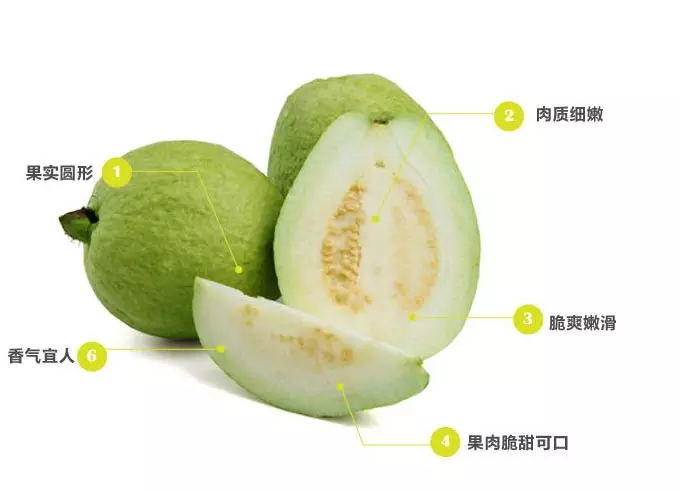2_看图王.web.jpg