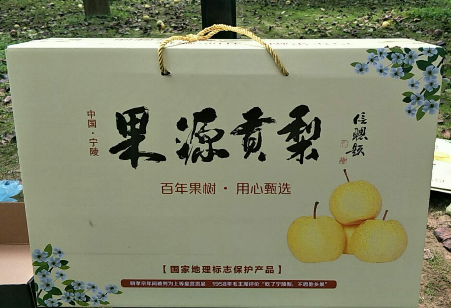 1514904703678010117.jpg 微信图片_20171117123652.jpg