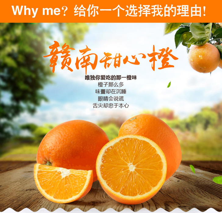 微信图片_20180107145000 拷贝.jpg