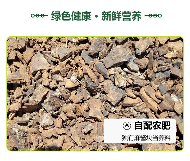 沙窝萝卜详情1_03_看图王.jpg