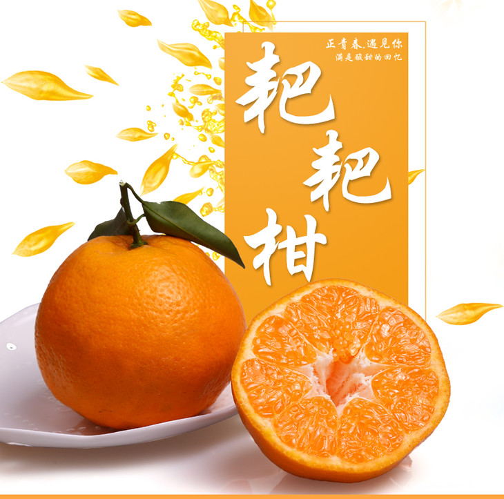 1517455907398036307.jpg 0_看图王.jpg