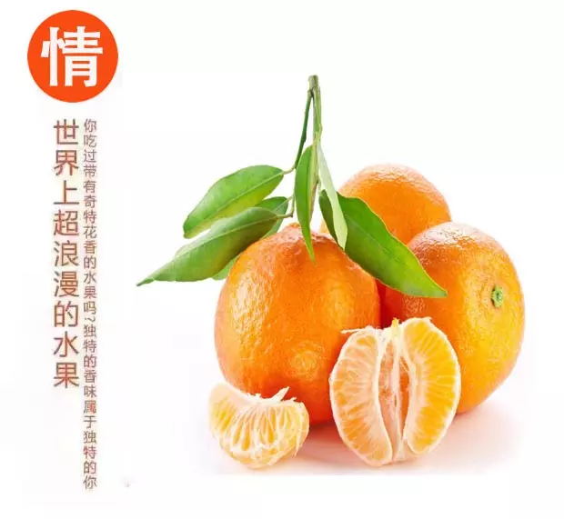FpPwTGTxBaM_hGK7zppRryMZIjXe_看图王.web.jpg