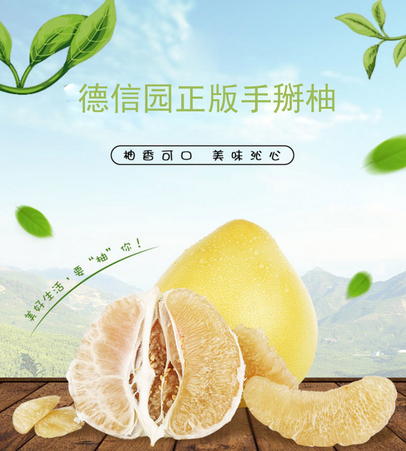 微信图片_20180402100534 拷贝.jpg