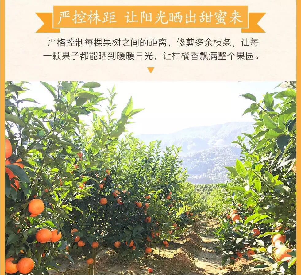 2345截图20180420115444.jpg