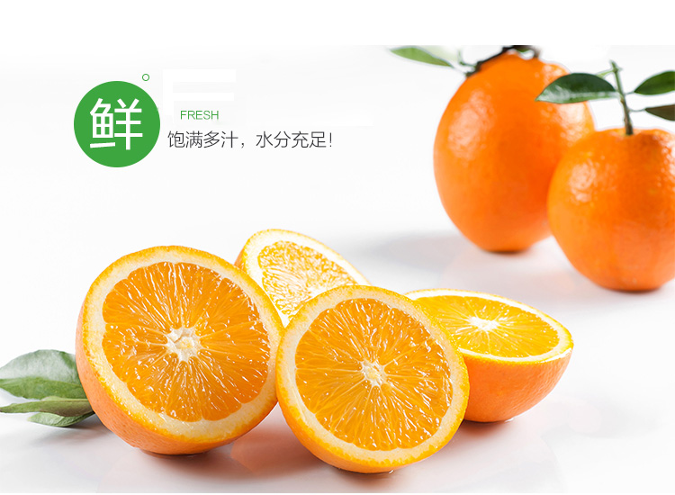 鲜.jpg
