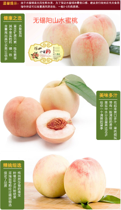 5cc84b14866ab6e2c9b439c84c2209f.png