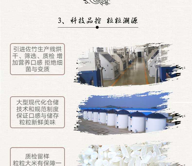 大米介绍13.jpg
