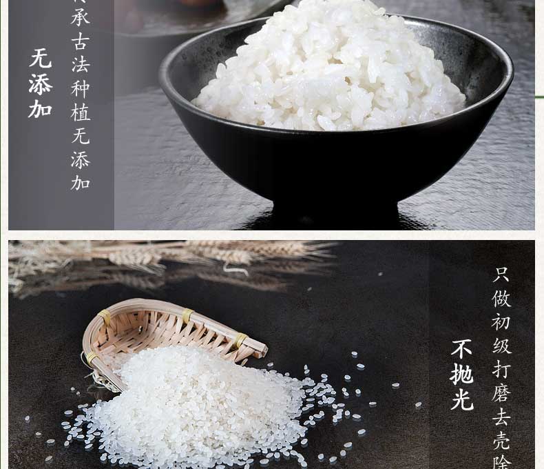 大米介绍17.jpg