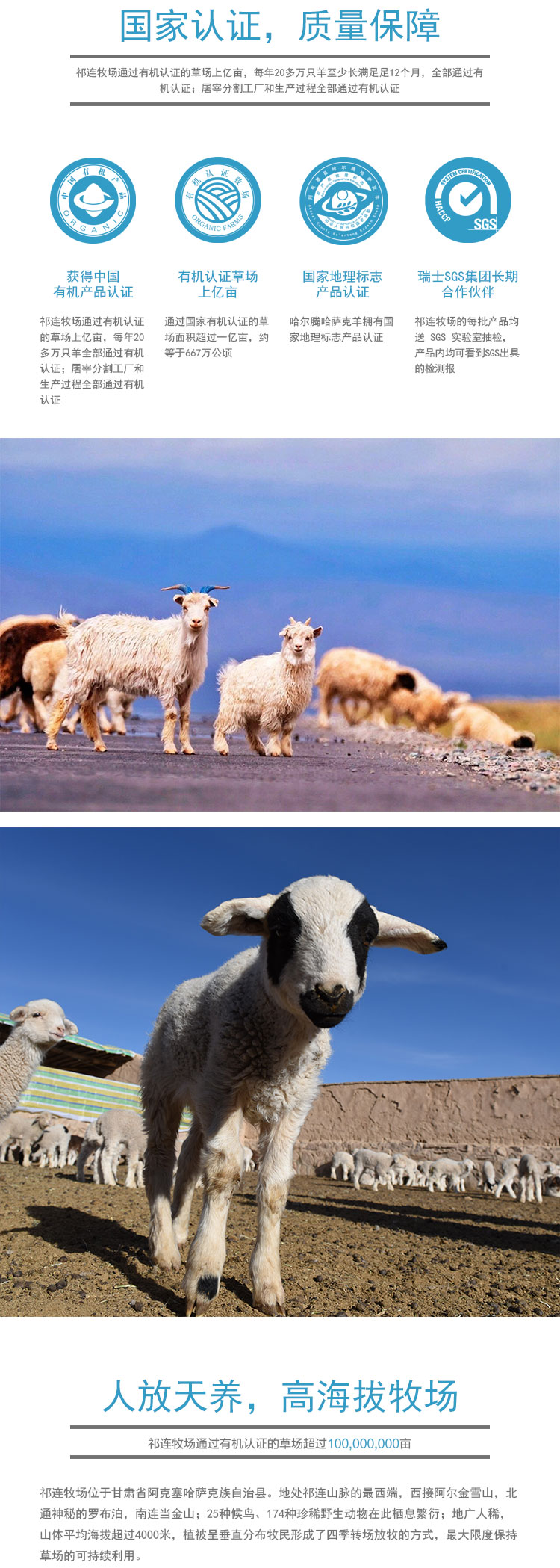 精选羊肉_04.jpg