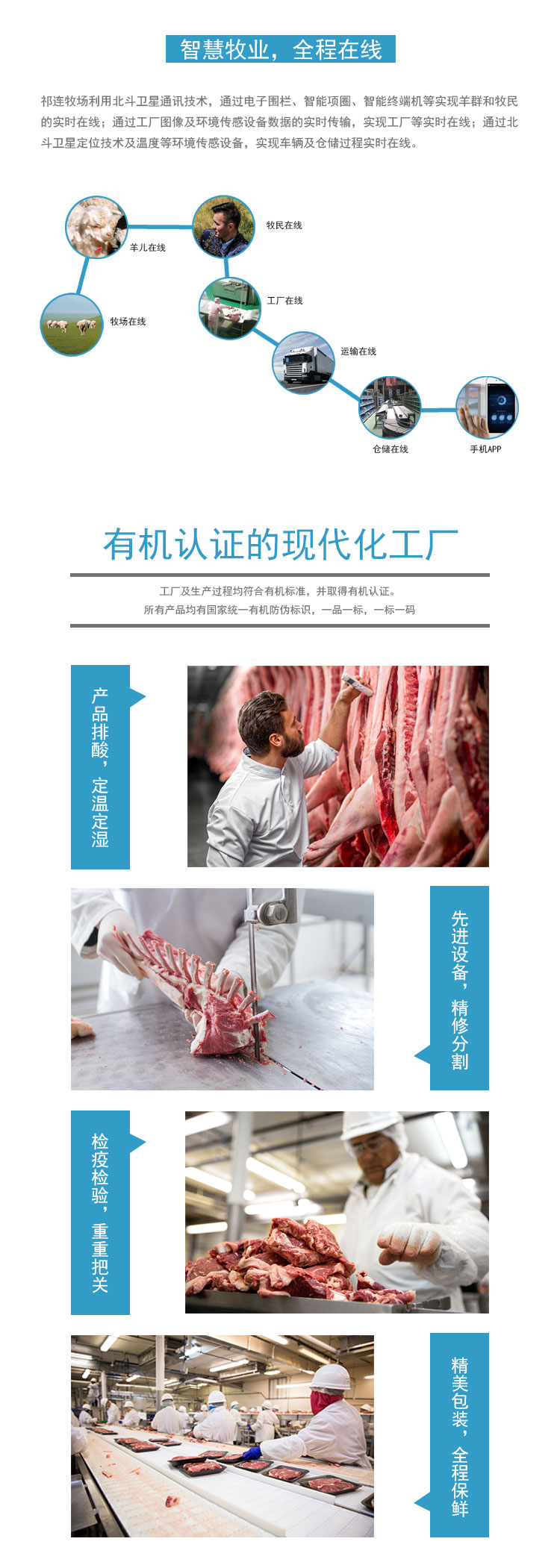 精选羊肉_06.jpg
