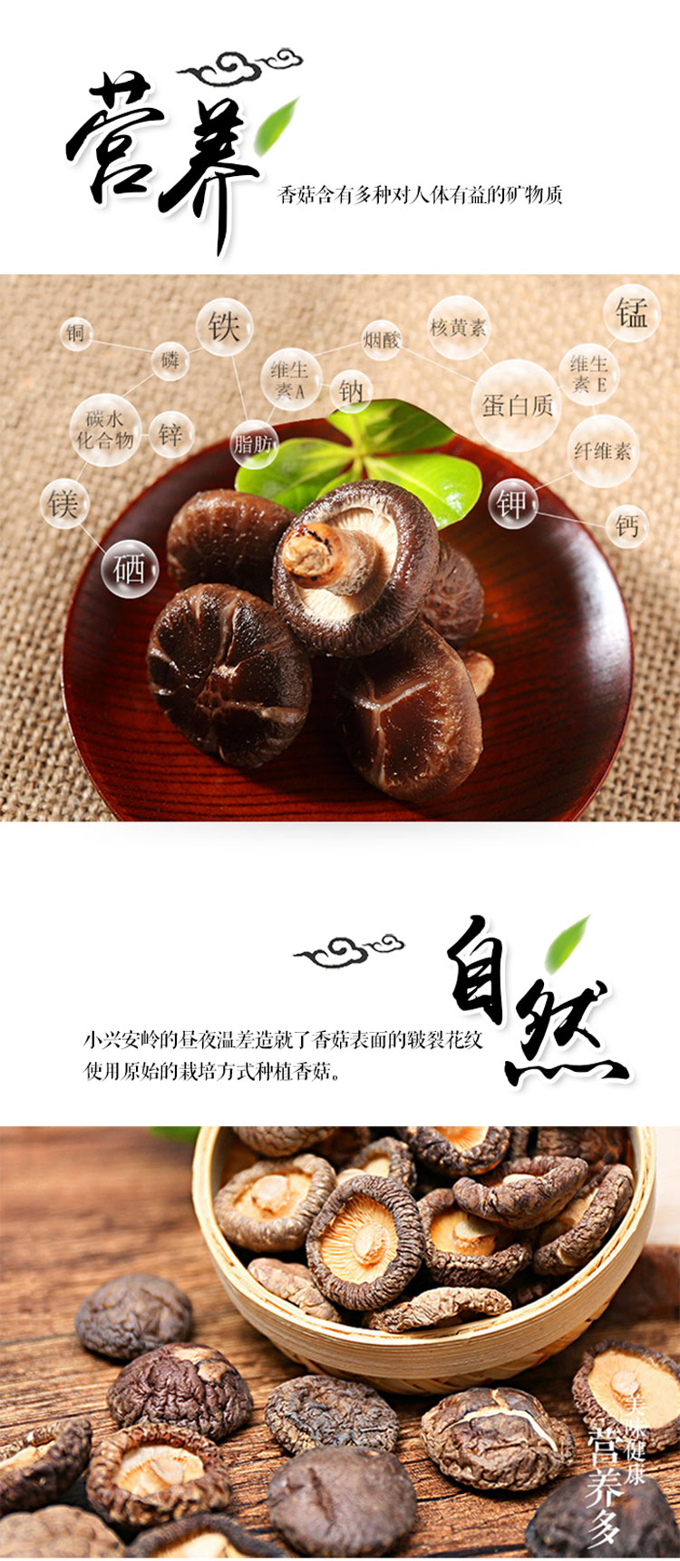 香菇-详情图03.jpg