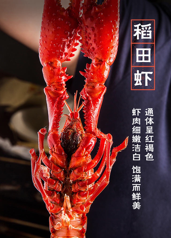 微信图片_20190114173615.jpg