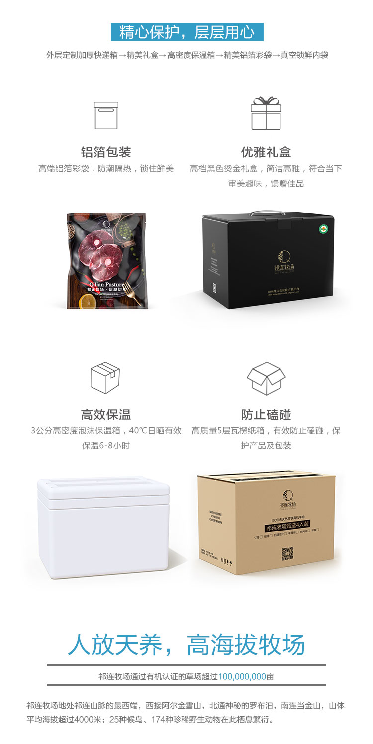 甄选6入装_05.jpg