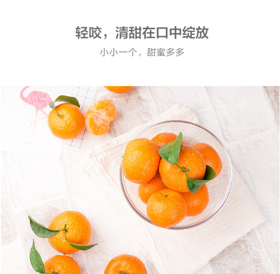 砂糖橘5.png