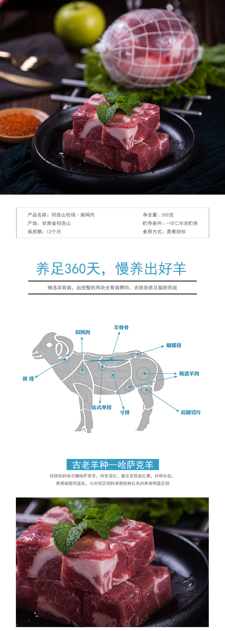肩网肉_01.jpg