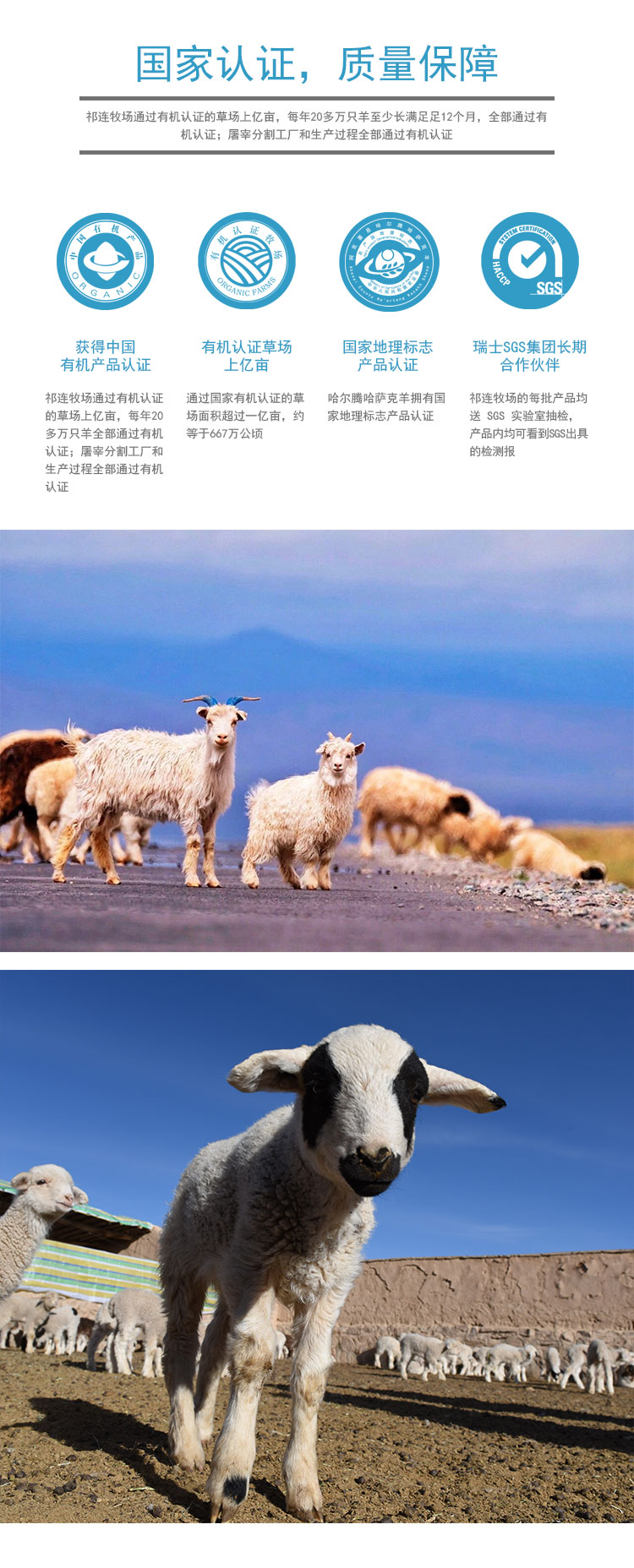 后腿切片_03.jpg