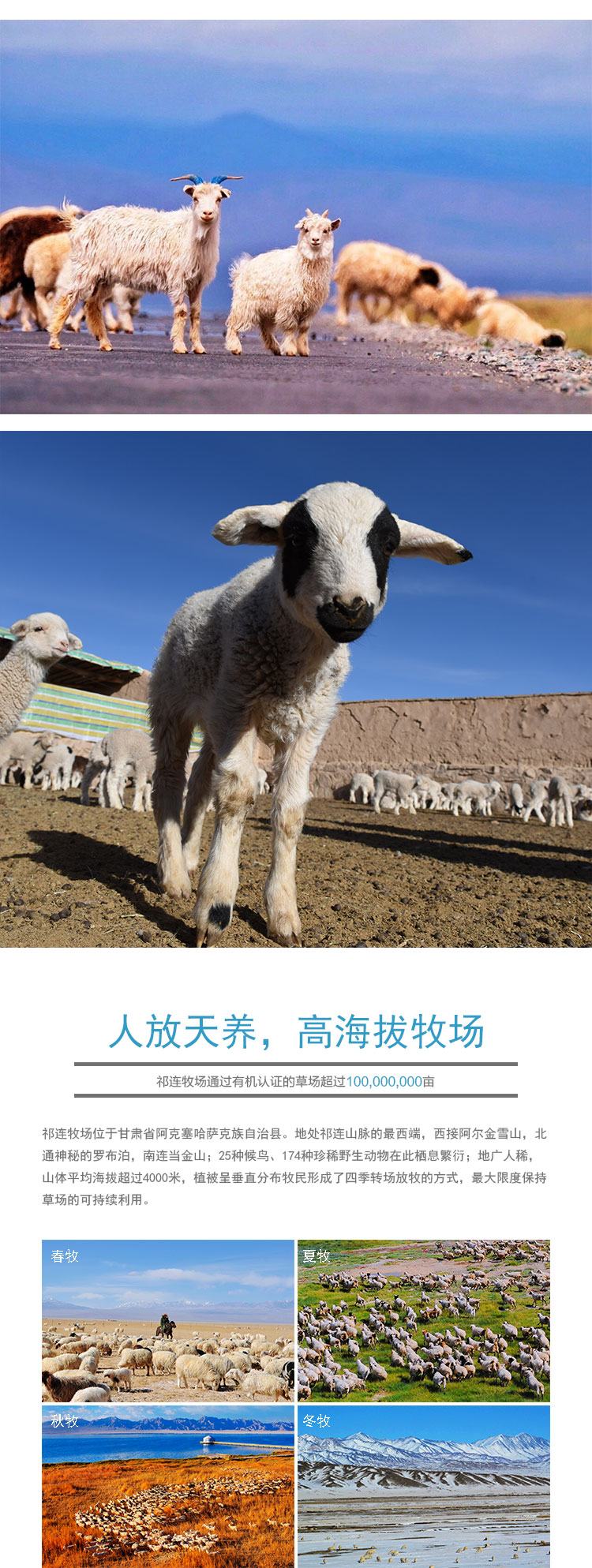 法式单排详情页2_04.jpg