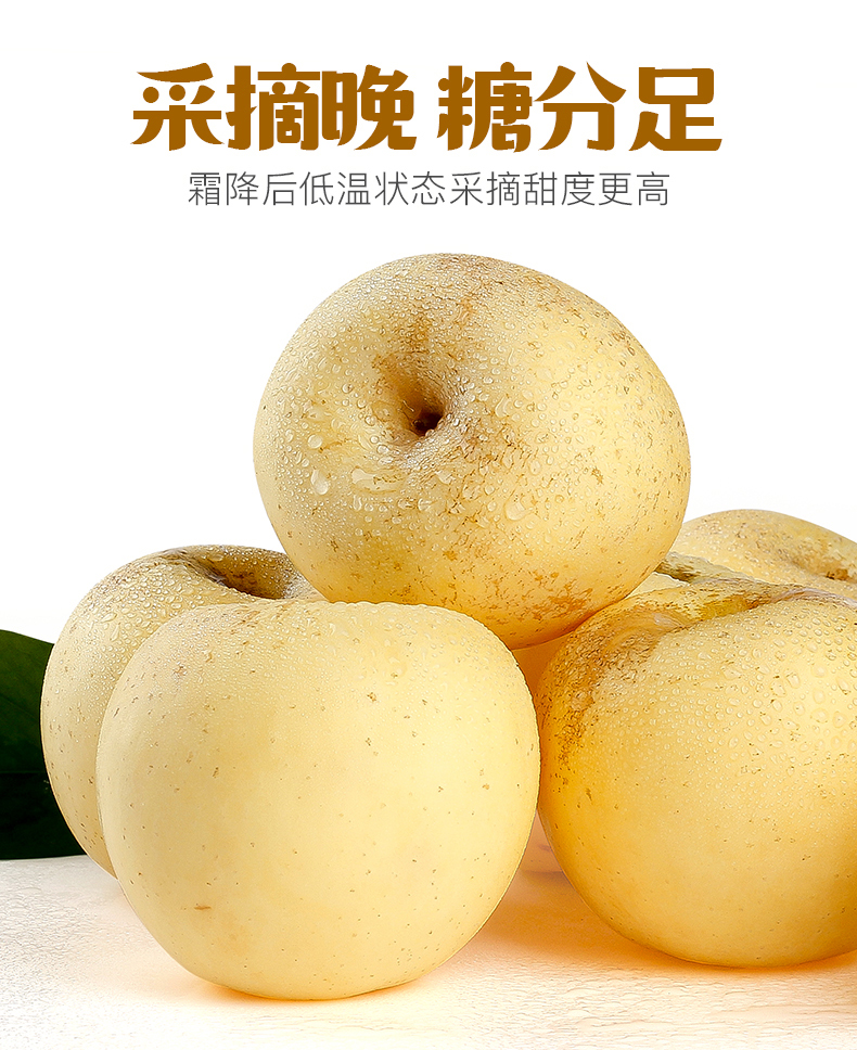 O1CN01WUokYZ2Mxxd0zUaWW_!!2200577669895.jpg