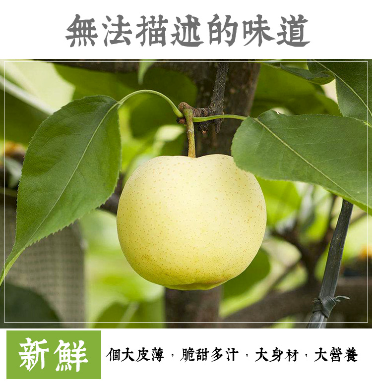 微信图片_20191126151402.jpg