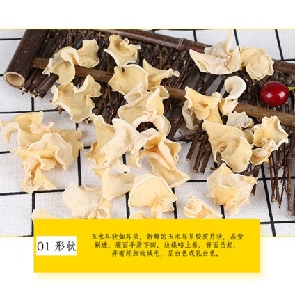 玉木耳4.jpg