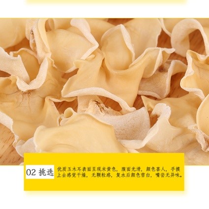 玉木耳5.jpg